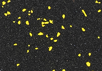 Black-with-rippin-yellow-speckles